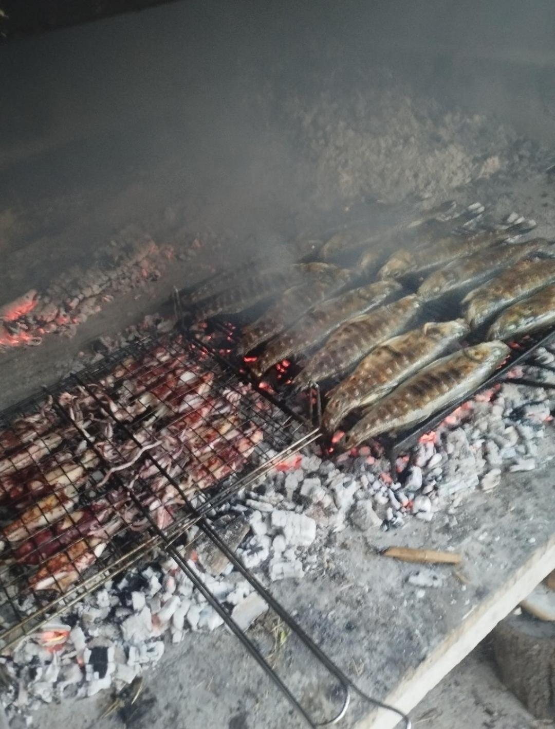 Apartmani Ivica Martic Duće المظهر الخارجي الصورة